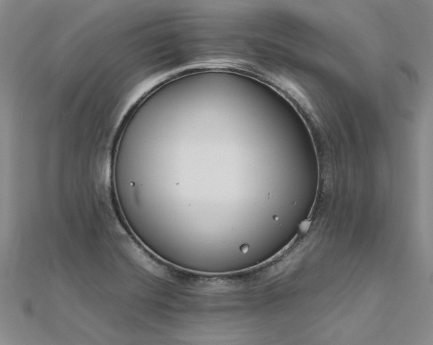 X0000112751420200909031517