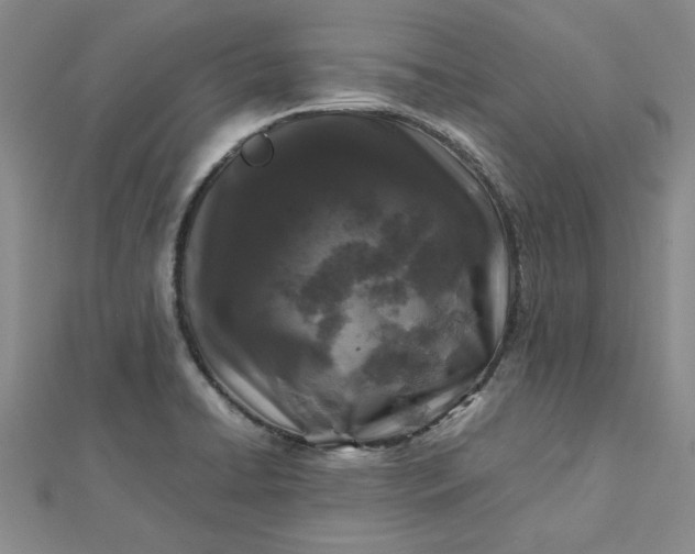 X0000112751422200909031517