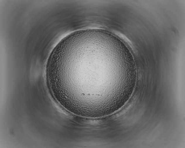 X0000112751423200909031517