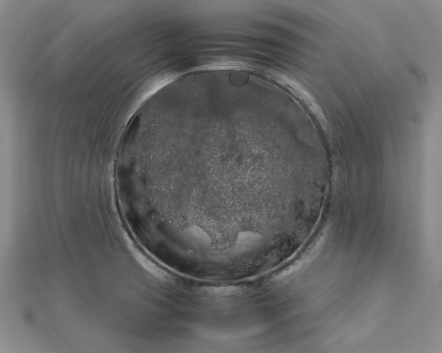 X0000112751425200909031517