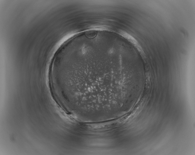 X0000112751427200909031517