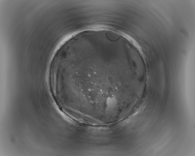 X0000112751429200909031517