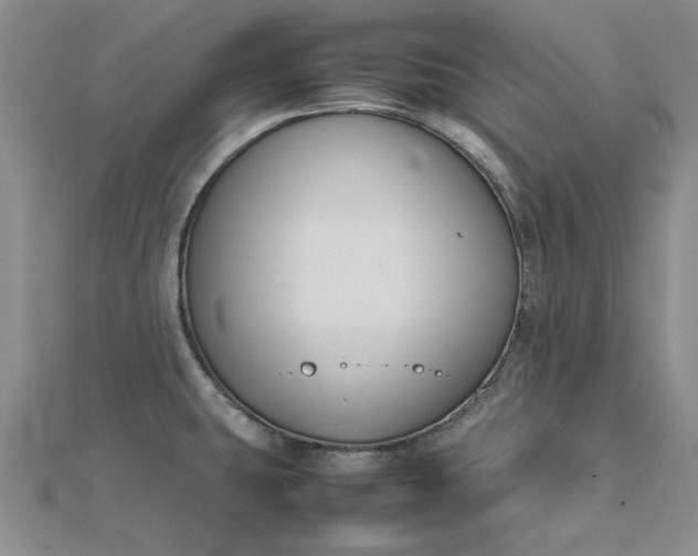 X0000112751431200909031517