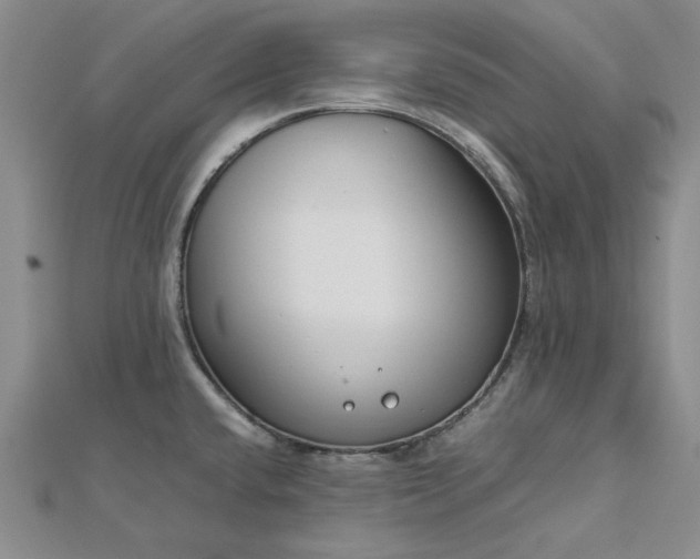 X0000112751432200909031517