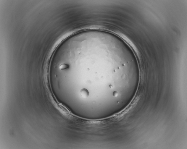 X0000112751437200909031517