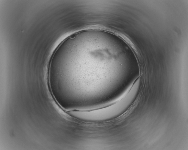 X0000112751438200909031517