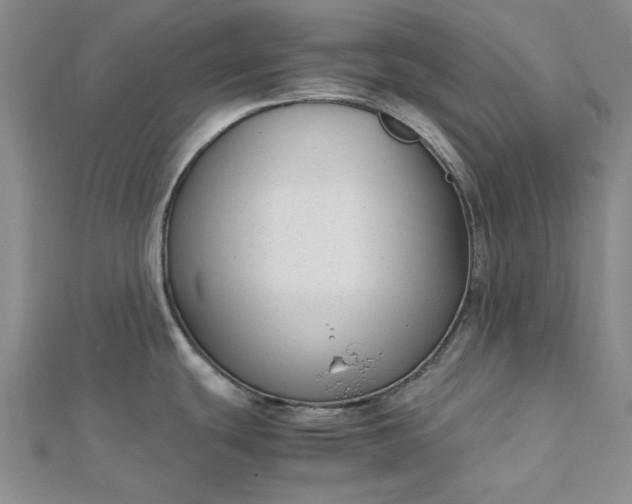 X0000112751439200909031517