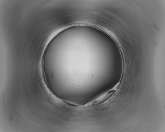 X0000112751440200909031517