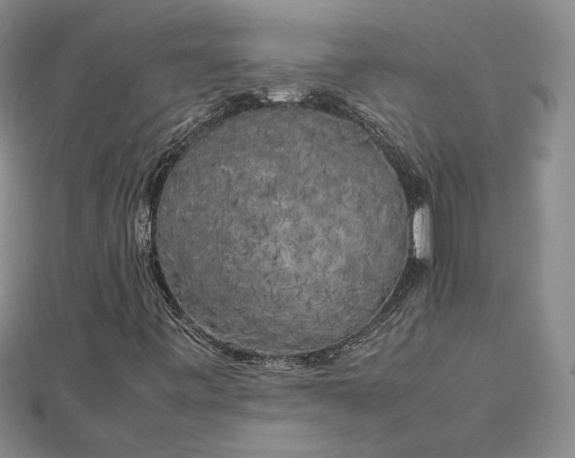 X0000112751443200909031517