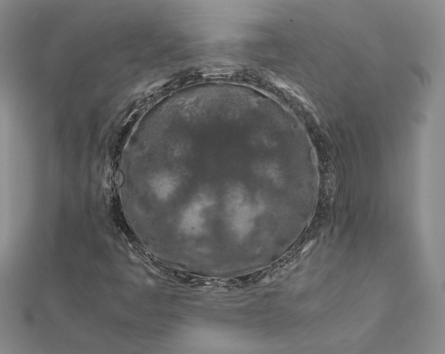 X0000112751445200909031517