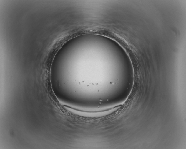 X0000112751447200909031517