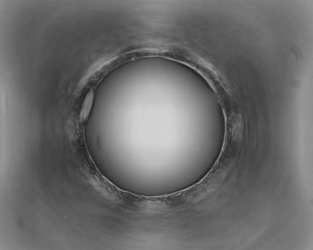 X0000112751448200909031517