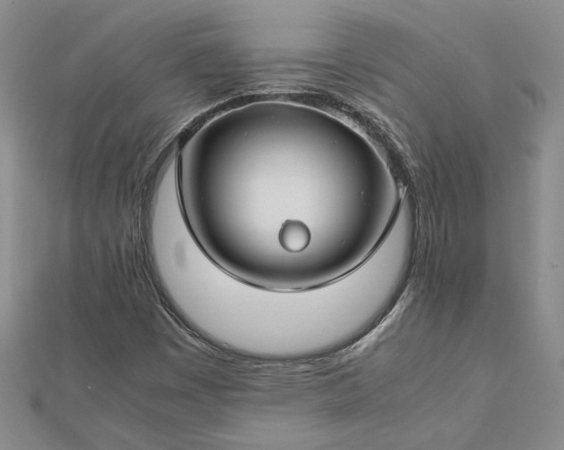 X0000112751449200909031517