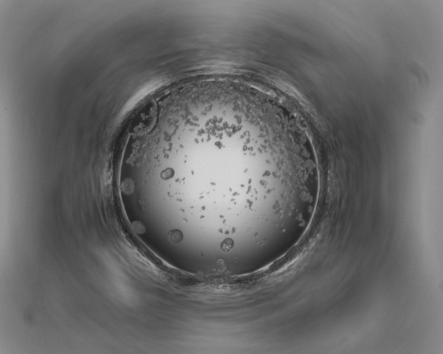 X0000112751450200909031516