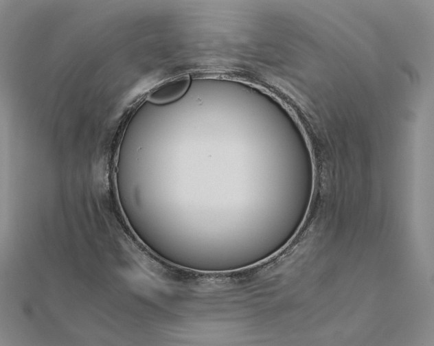 X0000112751451200909031516