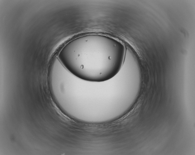 X0000112751452200909031516