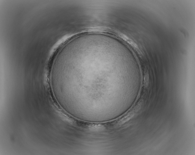 X0000112751454200909031516