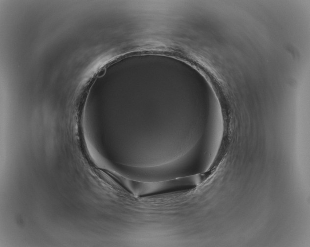 X0000112751455200909031516