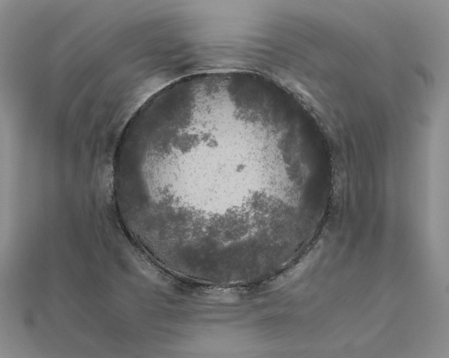 X0000112751457200909031516