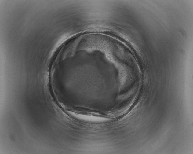 X0000112751459200909031516