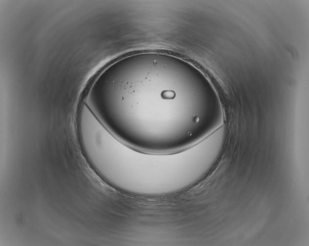 X0000112751460200909031516