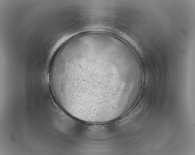 X0000112751462200909031516