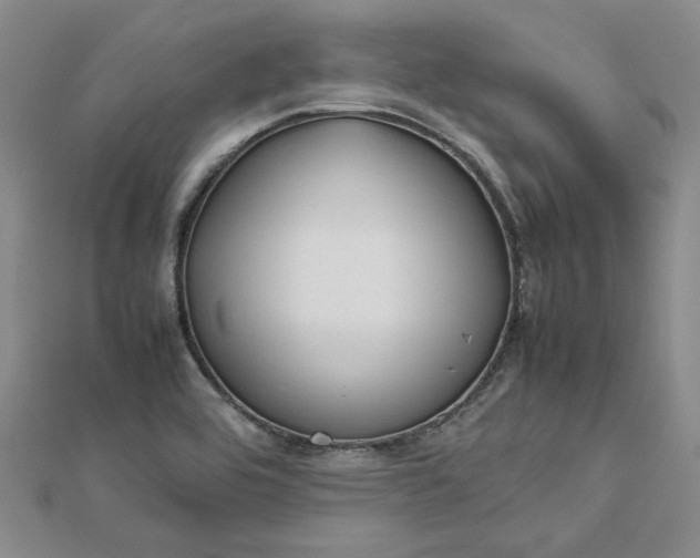 X0000112751464200909031516