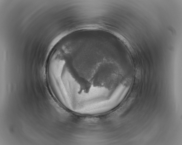 X0000112751466200909031516