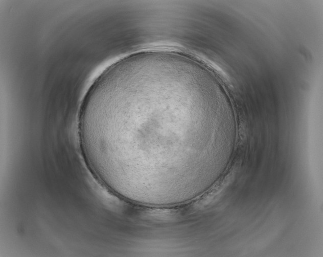 X0000112751470200909031516