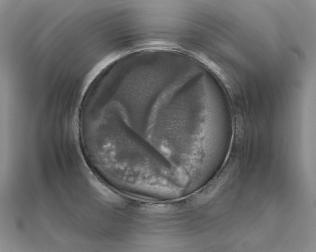 X0000112751474200909031516