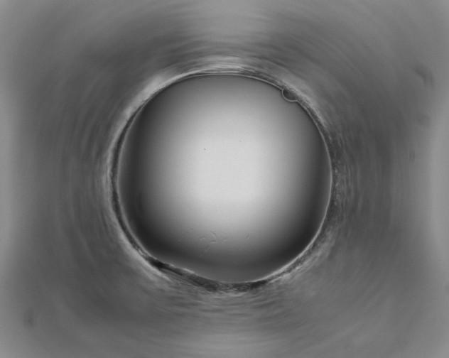 X0000112751475200909031516