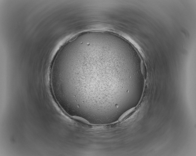 X0000112751477200909031516