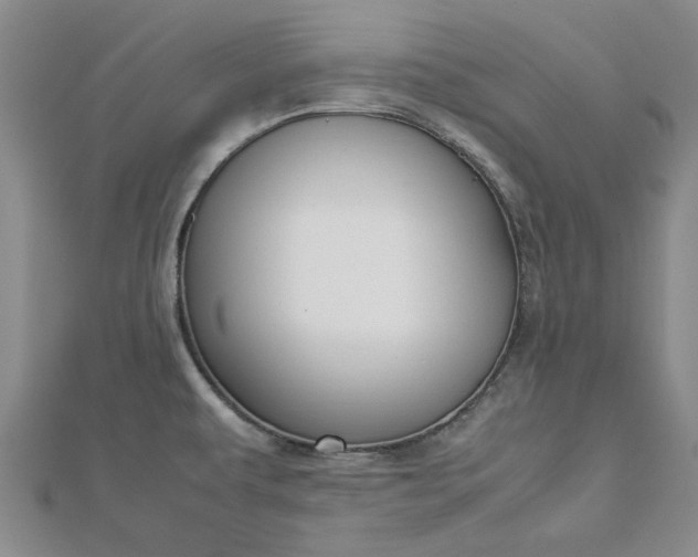 X0000112751479200909031516