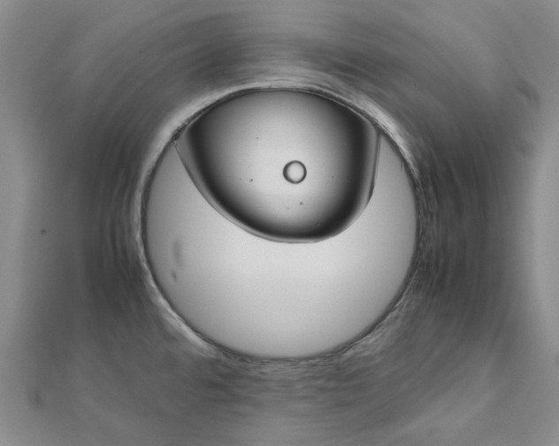 X0000112751480200909031516