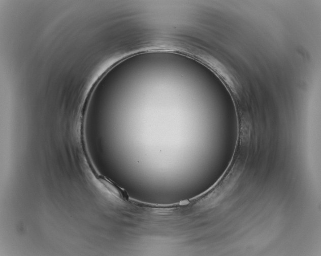 X0000112751484200909031516