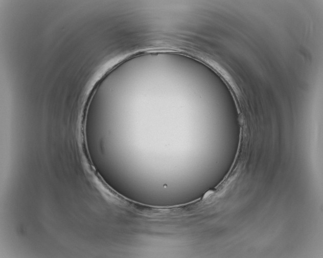 X0000112751485200909031516