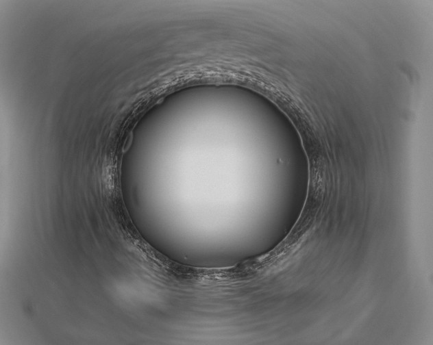 X0000112751490200909031515