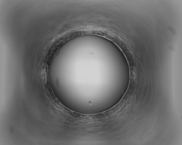 X0000112751493200909031515