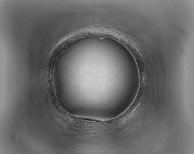 X0000112751494200909031515