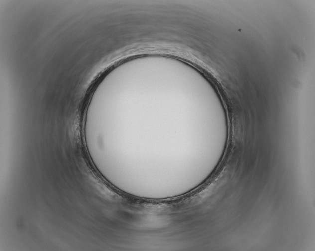 X0000112751498200909031516