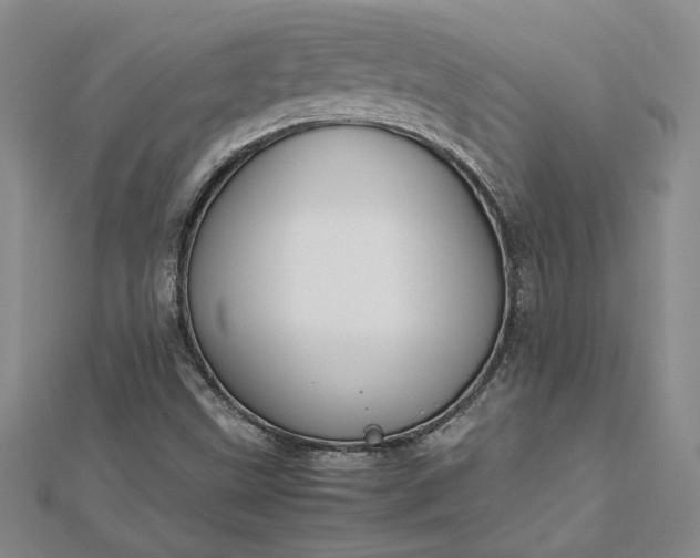 X0000112751499200909031516