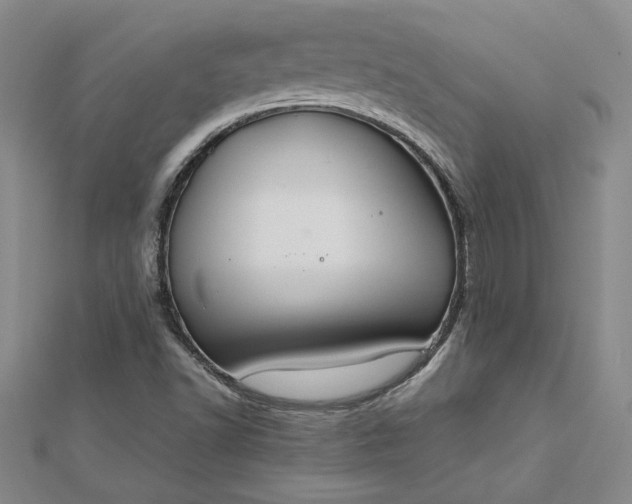 X0000112751502200909031516