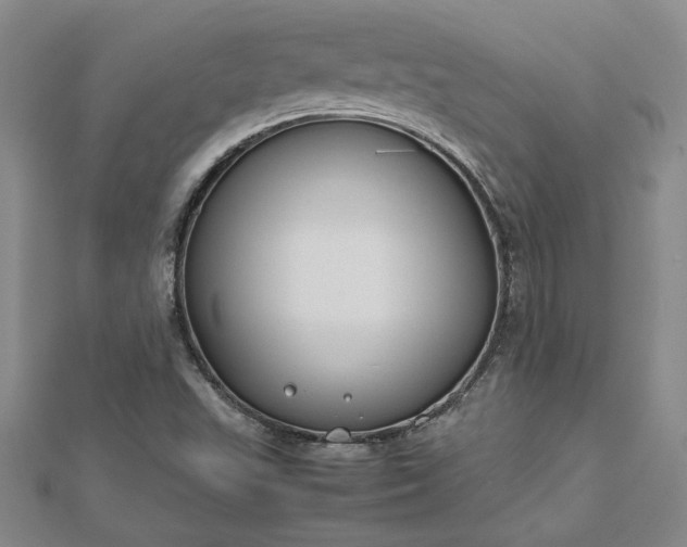 X0000112751503200909031516