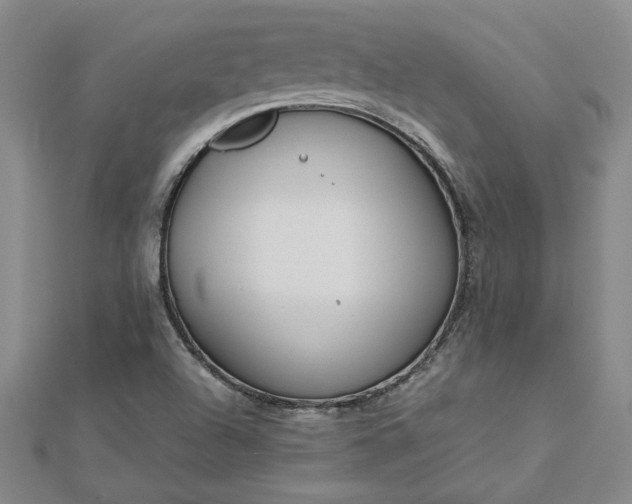 X0000112751504200909031516