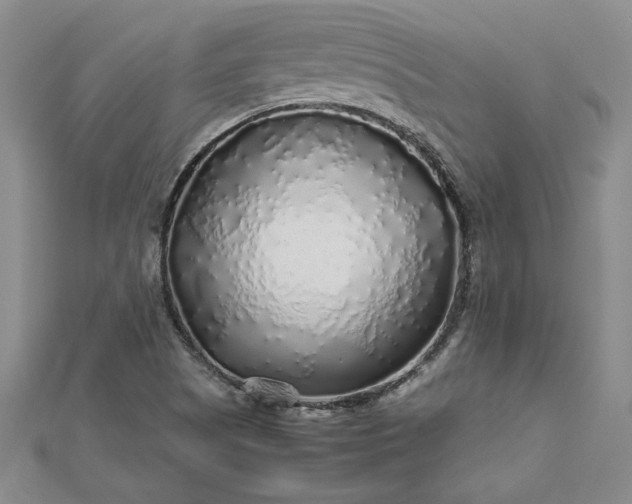 X0000112751505200909031516