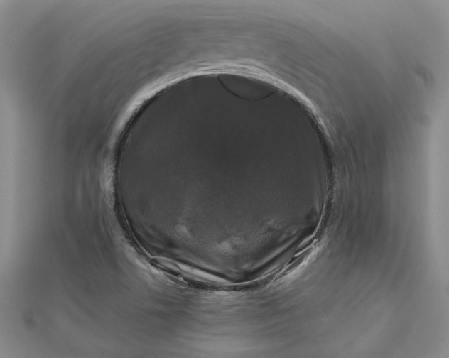 X0000112751506200909031516