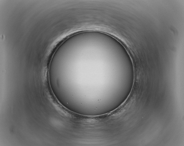 X0000112751507200909031516