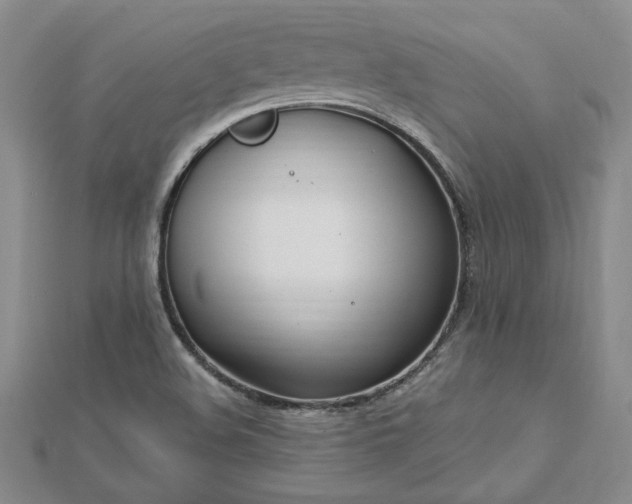 X0000112751508200909031516