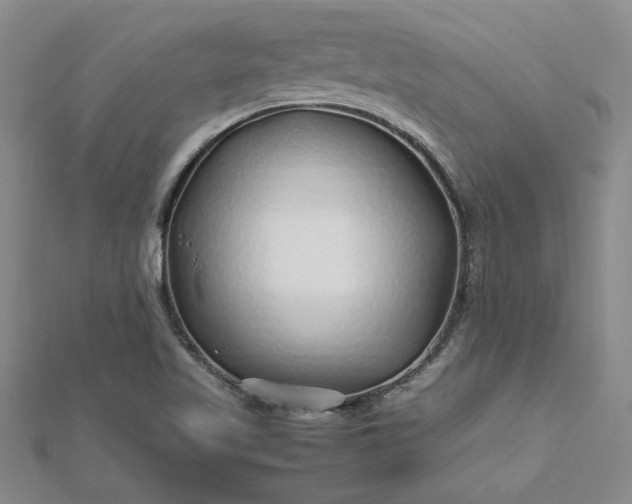 X0000112751509200909031516