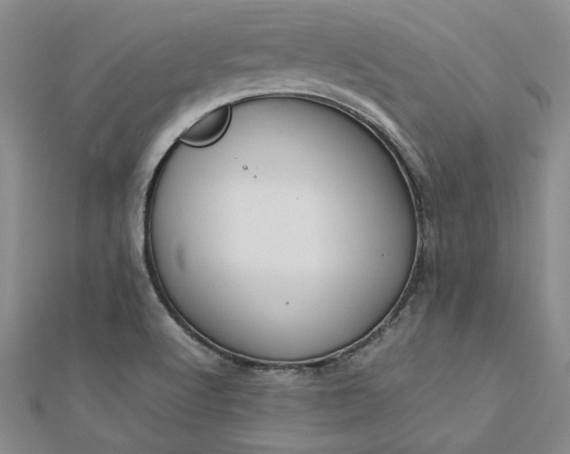 X0000112751512200909031516